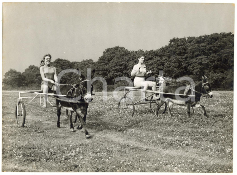 1957 CUCKFIELD (UK) - WINDMILL GIRLS in a donkey sulky race *Photo 20x15 cm