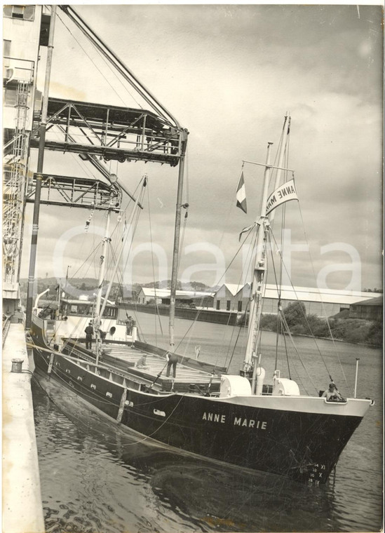 1957 GENNEVILLIERS Le bateau européen ANNE-MARIE dans le port - Photo 13x18