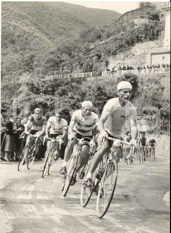 1956 CICLISMO GIRO D'ITALIA Pasquale FORNARA Gastone NENCINI in testa al gruppo