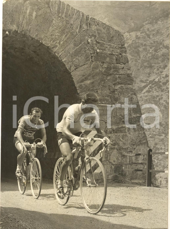 1956 CICLISMO GIRO D'ITALIA Pasquale FORNARA e Cleto MAULE sullo Stelvio - Foto