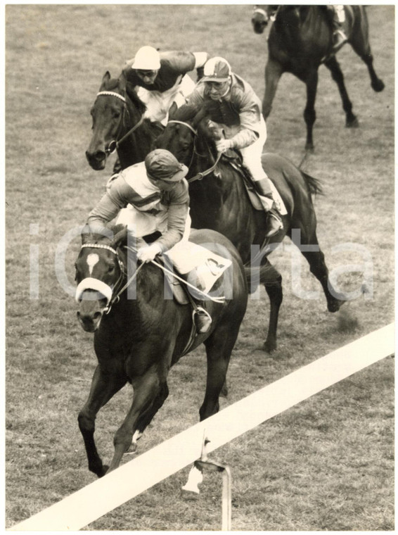 1956 EPSOM SPRING MEETING City and Suburban Handicap - Doug SMITH winning *Photo