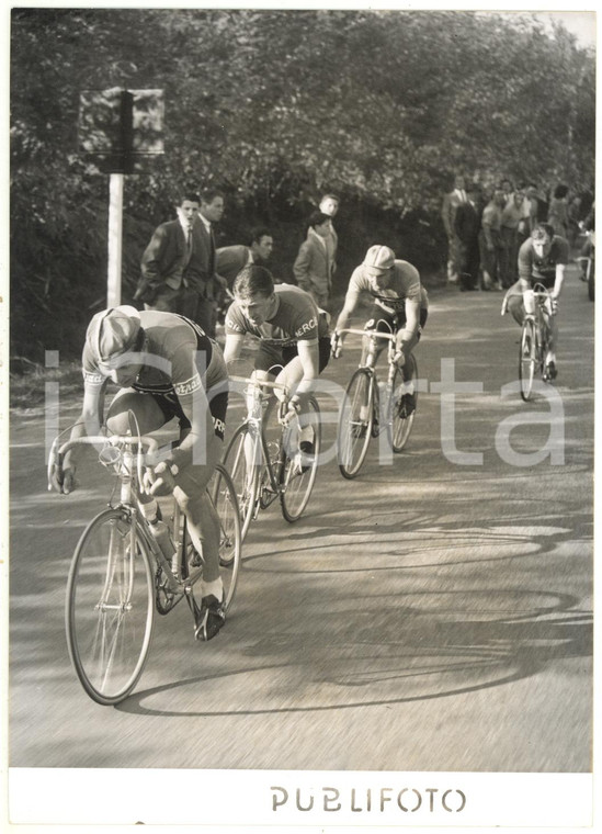 1955 CICLISMO - 49° Giro di Lombardia - Cleto MAULE René PRIVAT Alfred DE BRUYNE
