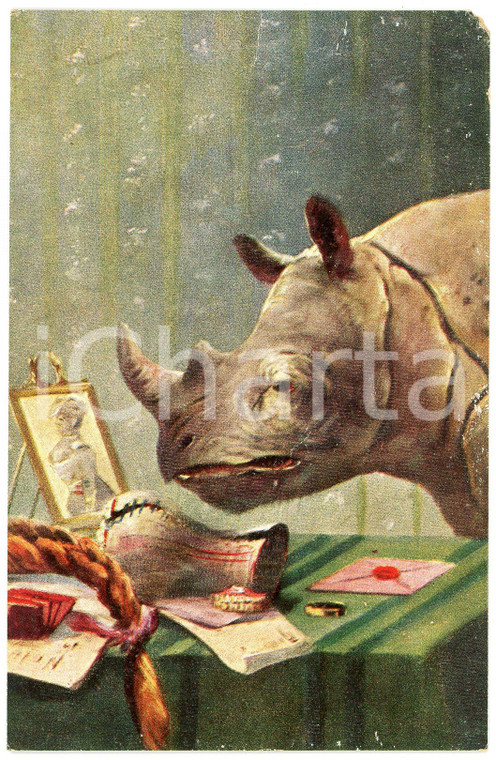 1910 ca HUMOUR Rhino in a boudoir - Original vintage postcard  Cartolina postale d'epoca, non viaggiata.CONDIZIONI: POOR (leggera piegatura centrale e al lato superiore; piccola mancanza all'angolo superiore destro)FORMATO: FP    originale e autentica 1