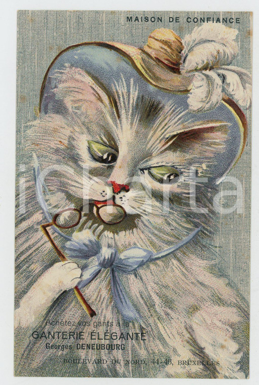 1900 ca BRUXELLES Ganterie Georges DENEUBOURG Cat ANTHROPOMORPHIC Postcard FP VG  Cartolina postale d'epoca, non viaggiata. FAIR/discreto Bruniture al verso Formato: FP originale e autentica 1