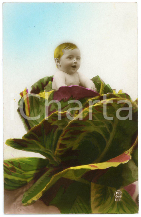 1925 FRANCE - Child out of a cabbage  - Vintage old postcard