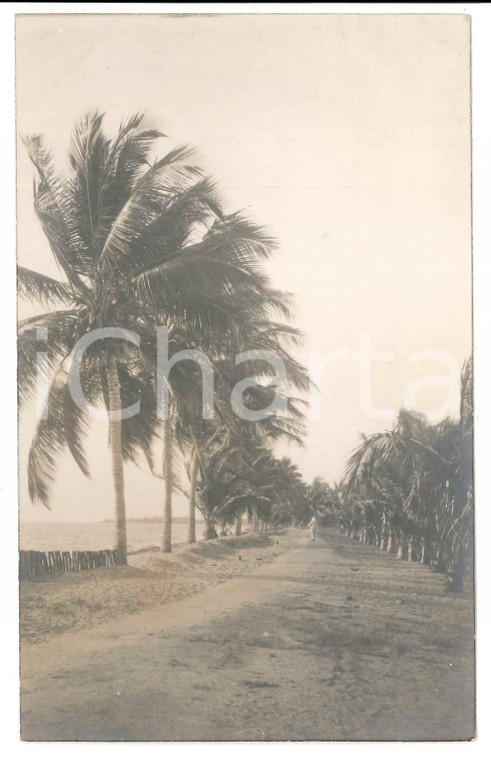 1930 C. ZAGOURSKI (?) AFRIQUE - CONGO BELGE - Paysage (2) Postcard  Fotocartolina postale d'epoca, attibuita al fotografo Casimir Zagourski.CONDIZIONI: GFORMATO: 9x14 cm    originale e autentica 1