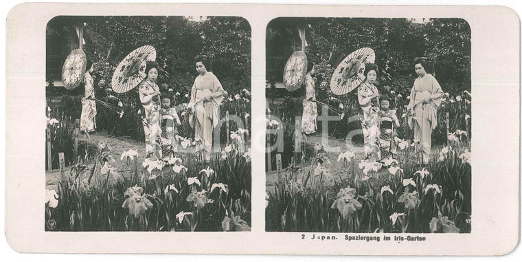 1910 ca JAPAN - Geishas - Spaziergang im Iris-Garten - ETHNIC Stereoview n° 2