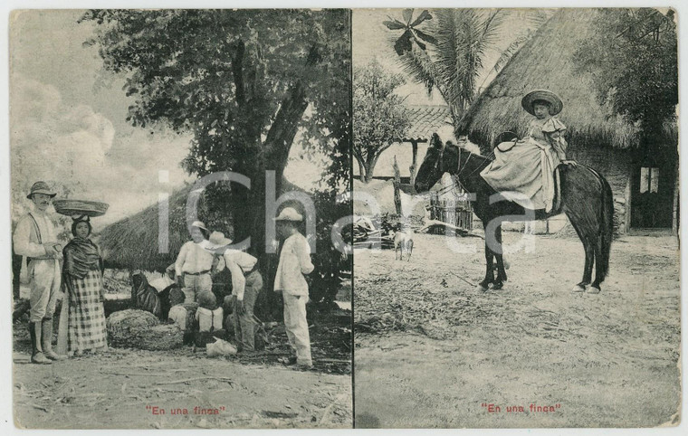 1910 ca SAN SALVADOR En una finca - Tarjeta postal ANIMATA TYPES ETHNIC