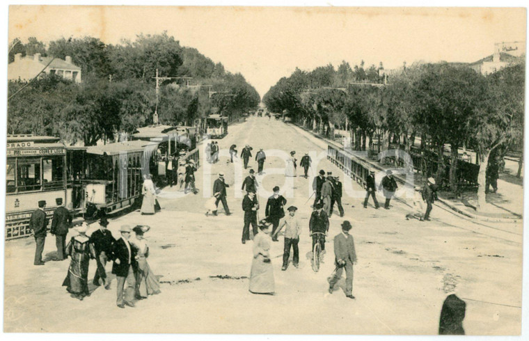 1910 ca MARSEILLE - FRANCE Le Prado vu de la plage - Carte postale FP NV