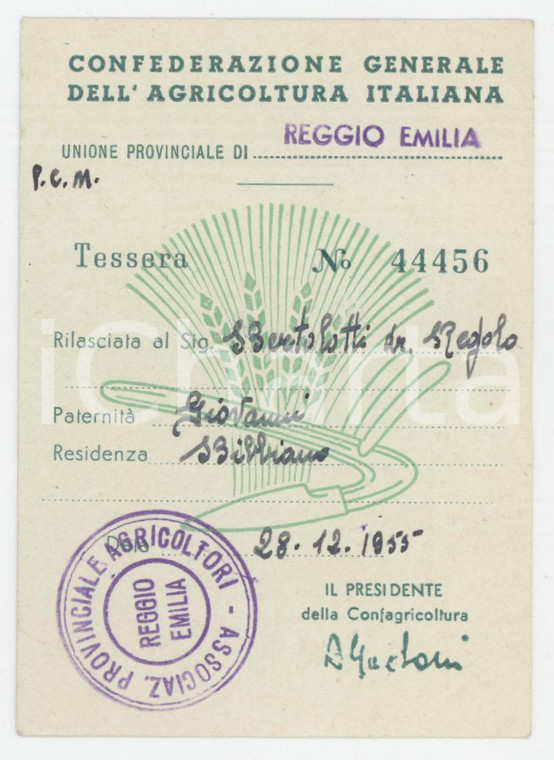 1955 BIBBIANO Confederazione generale dell'agricoltura italiana - Tessera