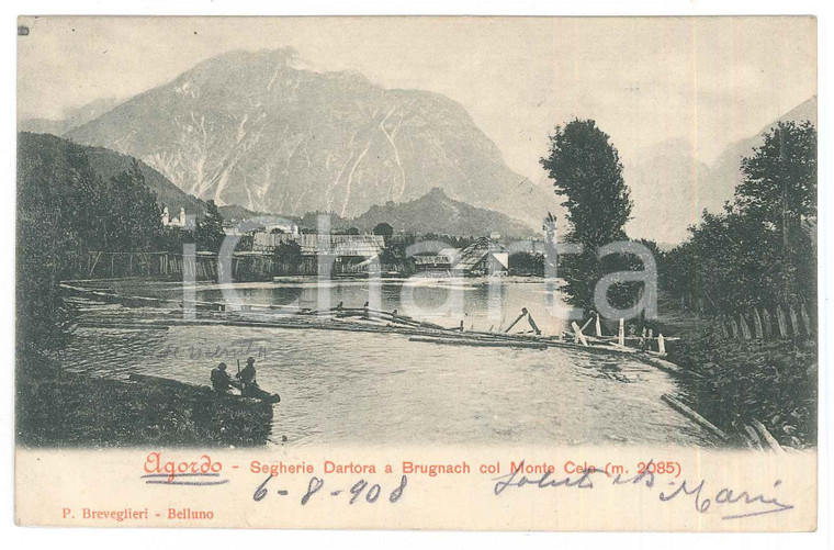 1908 AGORDO (BL) Segherie DARTORA a BRUGNACH col Monte Celo - Cartolina FP VG