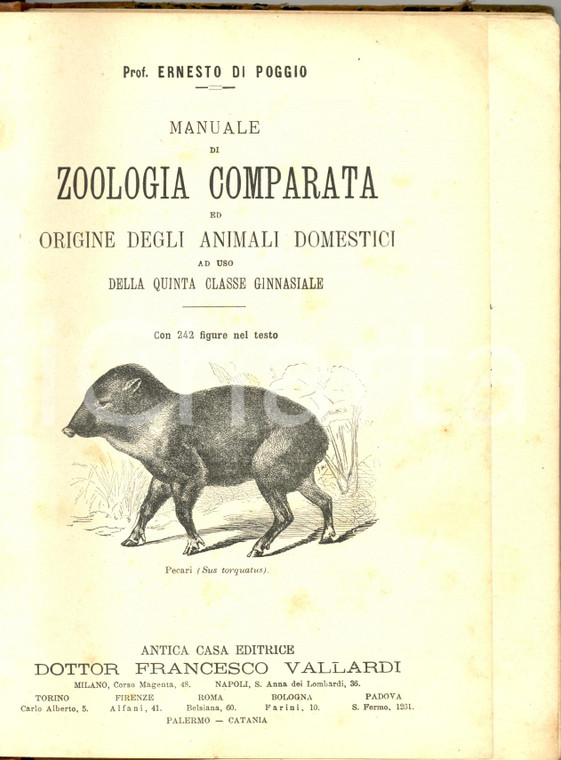 1890 MANUALI prof. Ernesto DI POGGIO uso scolastico edizione illustrata VALLARDI
