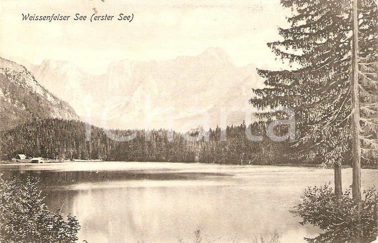 1920 ca TARVISIO (UD) Laghi di Fusine WEISSENFELSER SEE *Cartolina FP NV