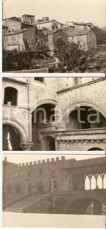 1958 VITERBO Palazzo dei Papi e panorama *Lotto 3 foto 10x7 cm
