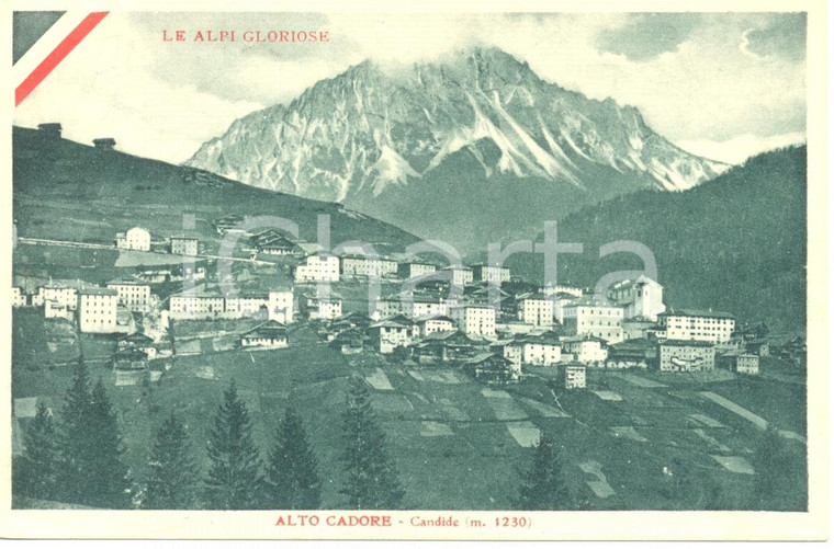 1918 LE ALPI GLORIOSE CANDIDE (BL) Veduta dell'ALTO CADORE *Cartolina FP VG