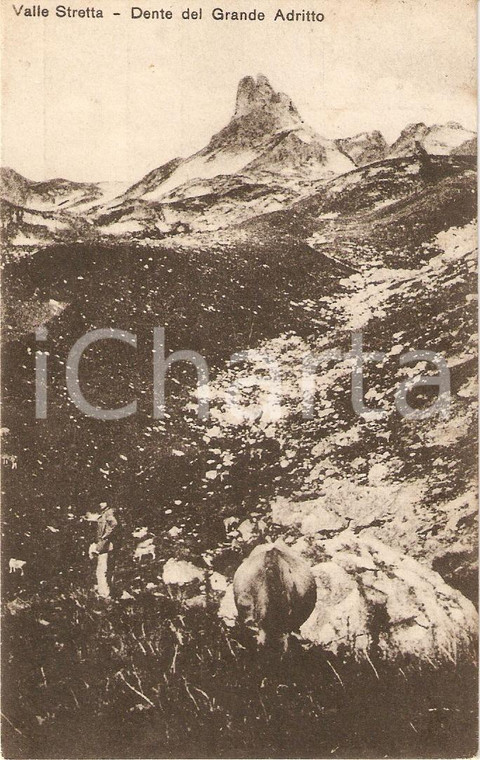 1918 BARDONECCHIA (TO) Dente del Grande Adritto VALLE STRETTA *Cartolina FP VG