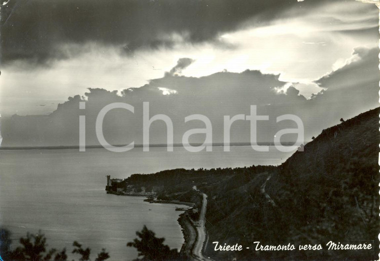 1955 TRIESTE Panorama verso il CASTELLO di MIRAMARE *Cartolina postale FG VG