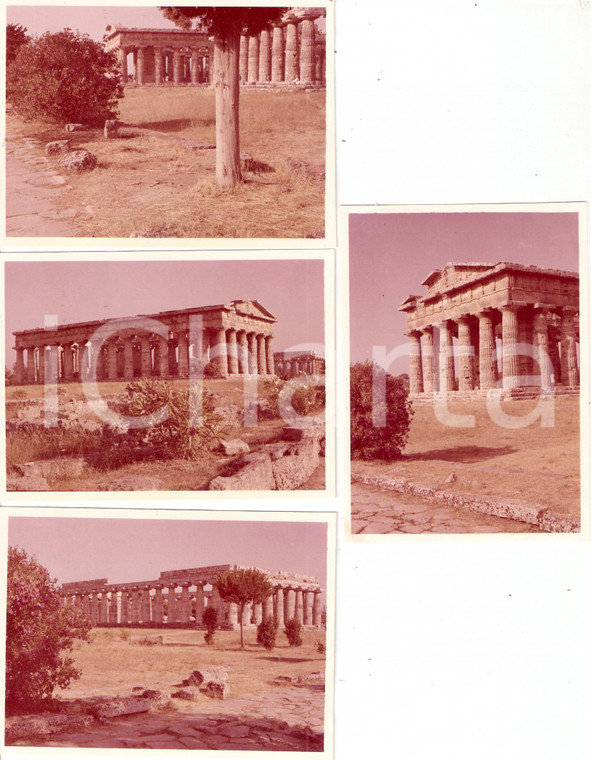 1965 PAESTUM (SA) Tempio di NETTUNO e sito archeologico *Lotto 4 foto 9x11 cm