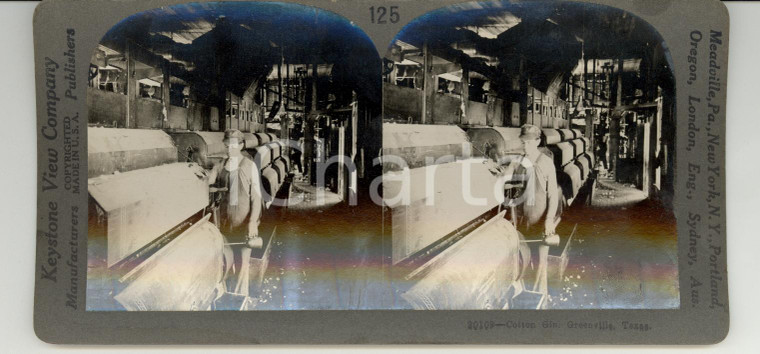 1890 GREENVILLE (Texas) Cotton Gin - Stereoscopy KEYSTONE