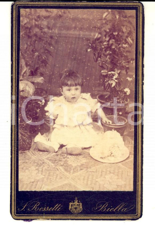 1910 ca BIELLA Ritratto di bambina seduta in giardino *Foto ROSSETTI CDV