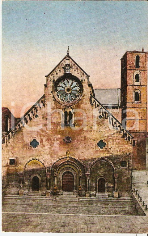1920 ca RUVO DI PUGLIA (BA) La Cattedrale *Cartolina FP NV