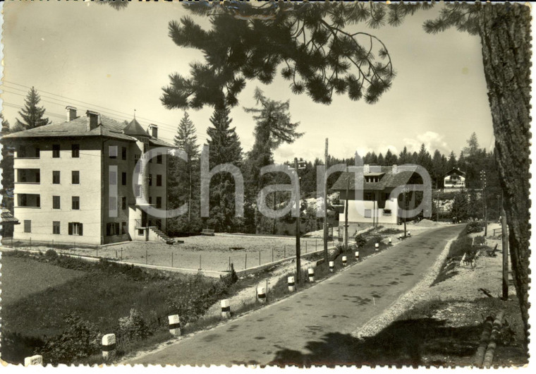 1950 ca RUFFRE' MENDOLA (TN) Veduta con villini dell'Alpe *Cartolina FG VG