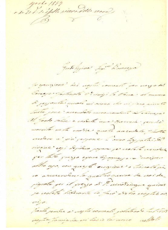 1857 ATRIPALDA (AV) Francesco RUGGIERO su una quercia marcita caduta *Lettera