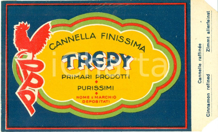 1935 ca MOGLIANO VENETO (TV) Cannella TREPY Edgardo PESARO Bustina vuota