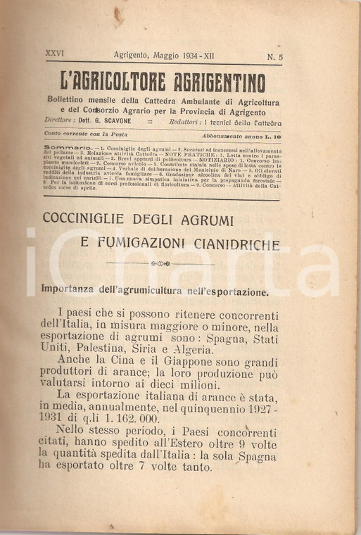 1934 AGRICOLTORE AGRIGENTINO Fumigazioni vs parassiti Grano a SAMBUCA Tabelle