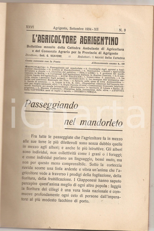 1934 AGRIGENTO Agricoltore agrigentino Seminatrice ROTOLO per aratro a chiodo