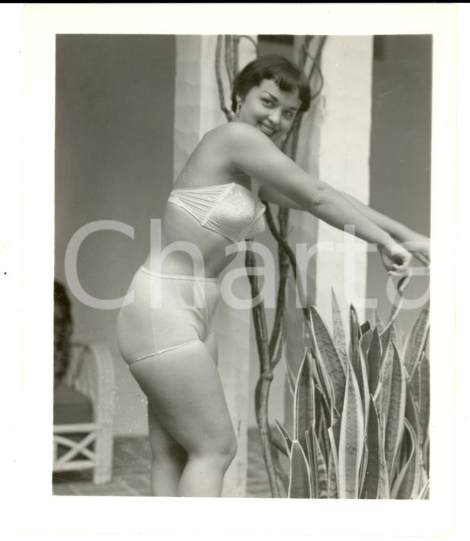 1965 ca USA - EROTICA VINTAGE Sexy woman playing with a plant *PHOTO