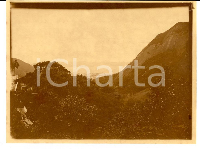 1920 RIO DE JANEIRO (BRAZIL) Veduta della baia tra la macchia *Foto VINTAGE