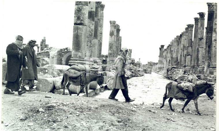 1960 ca JERASH Giordani a passeggio tra le rovine con i somari *Fotografia