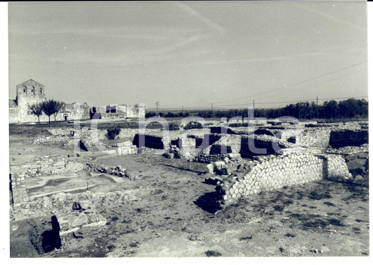 1981 VENOSA (PZ) Scavi archeologici davanti a basilica SS. TRINITA'