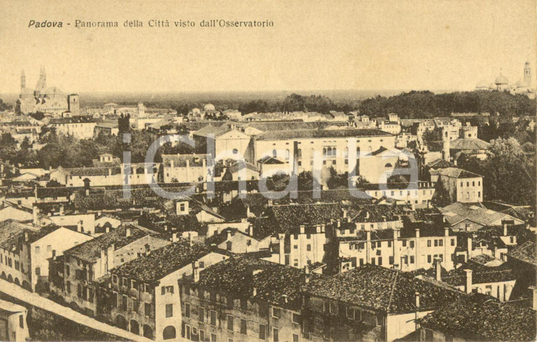 1920 ca PADOVA Panorama della città dall'Osservatorio *Cartolina FP NV