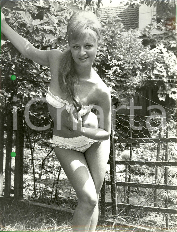 1960 ca STORIA DELLA MODA Modella in bikini posa in un orto *Foto MODA VINTAGE