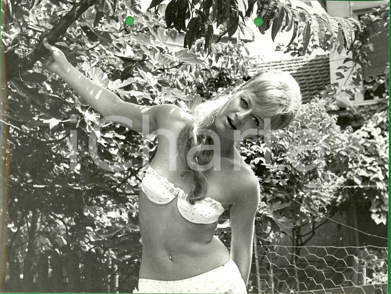 1960 ca STORIA DELLA MODA Modella in bikini posa in campagna*Foto VINTAGE