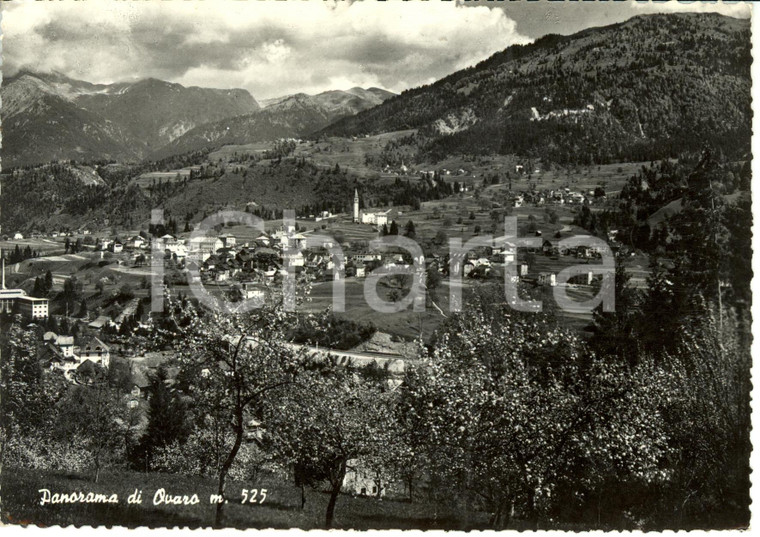 1956 OVARO (UD) Veduta panoramica del paese *Cartolina FG VG