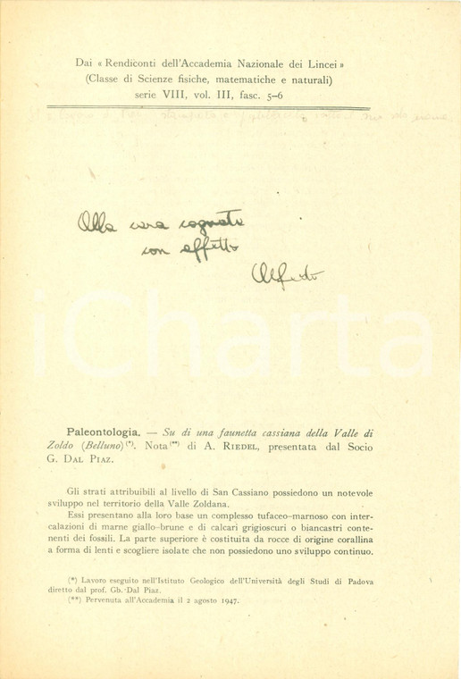 1947 Alfredo RIEDEL Paleontologia Faunetta cassiana VALLE DI ZOLDO *Autografo
