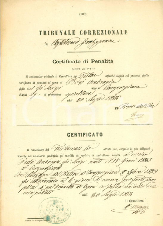 1874 CASTELNUOVO GARFAGNANA Tribunale Correzionale Ambrogio PEDRI ruba travetto