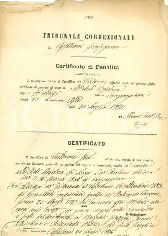 1874 CASTELNUOVO GARFAGNANA (LU) Tribunale Correzionale condanna Anselmo MICHELI