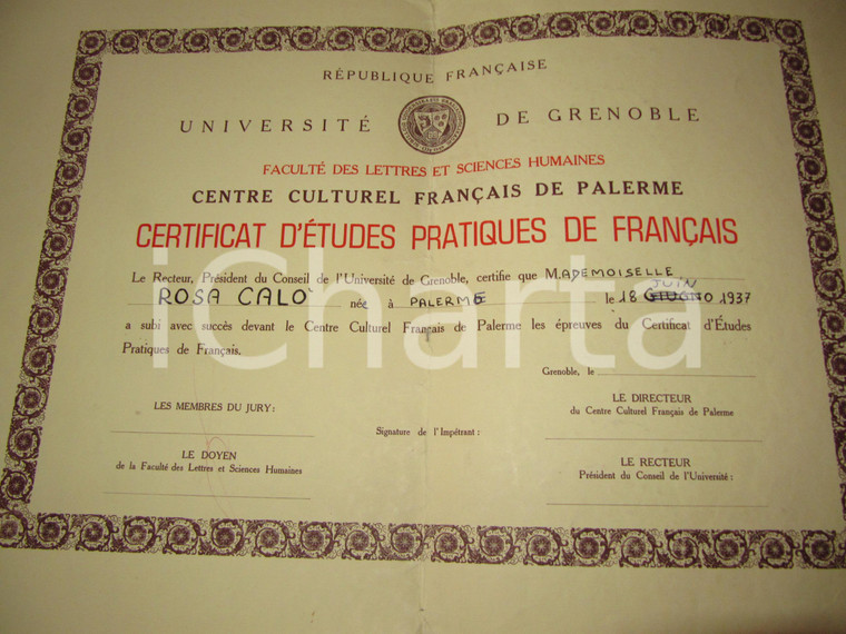 1960 ca PALERMO Diploma Rosa CALO' Centre Culturel Français GRENOBLE DANNEGGIATO