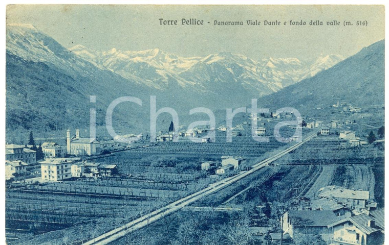 1914 TORRE PELLICE (TO) Viale DANTE e il fondo valle *Cartolina postale FP VG
