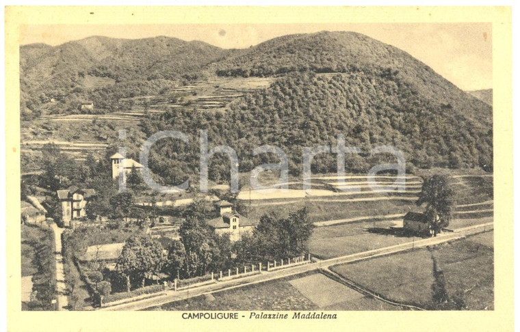 1946 CAMPO LIGURE (GE) Palazzine frazione LA MADDALENA *Cartolina postale FP VG