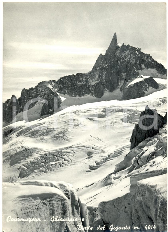1955 ca COURMAYEUR (AO) Ghiacciaio e DENTE DEL GIGANTE *Cartolina postale FG NV