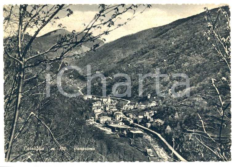 1983 MONTALDO DI MONDOVI' (CN) Panorama località CORSAGLIA *Cartolina FG VG