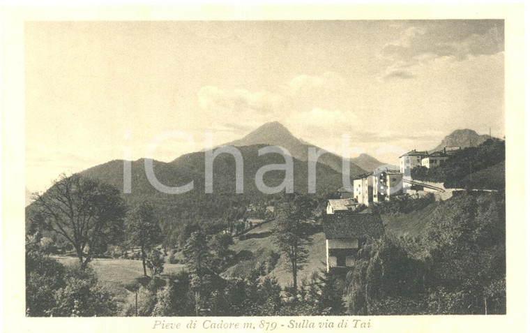 1930 ca PIEVE DI CADORE (BL) Veduta sulla via di TAI * Cartolina postale FP NV