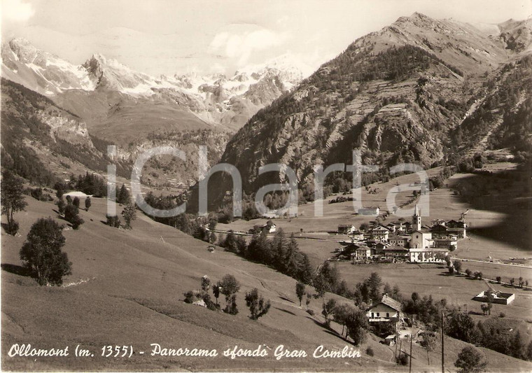 1955 OLLOMONT (AO) Monte GRAND COMBIN Scorcio panoramico *Cartolina FG VG