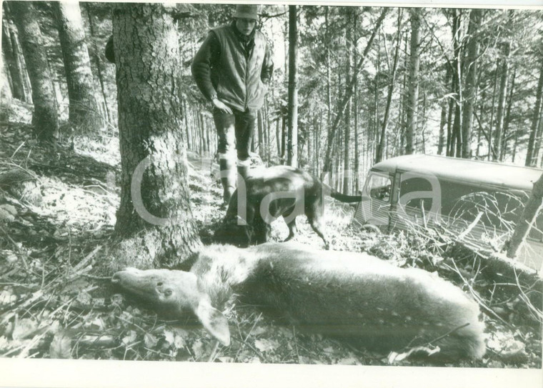 1988 COLMAR (FRANCE) Cacciatore con la sua preda *Fotografia