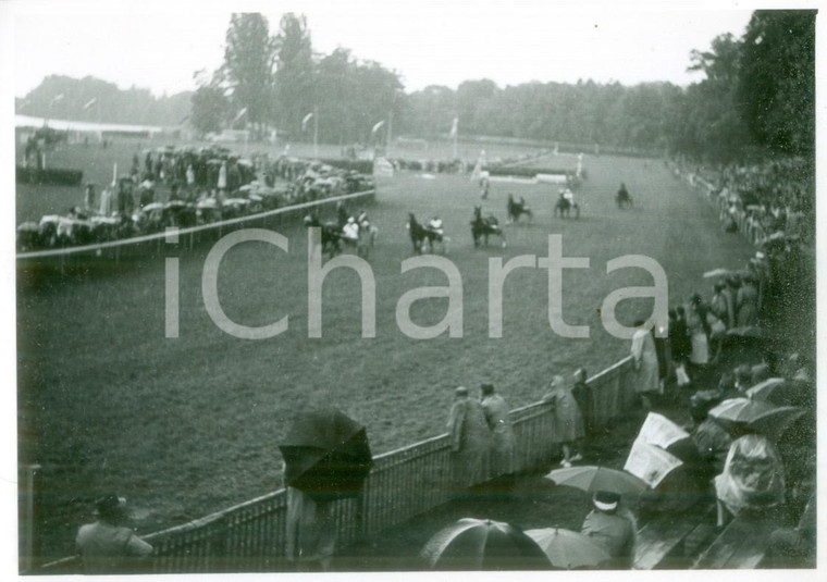 1955 ca SVIZZERA EQUITAZIONE Corsa dei sulky all'ippodromo *Cartolina FG NV